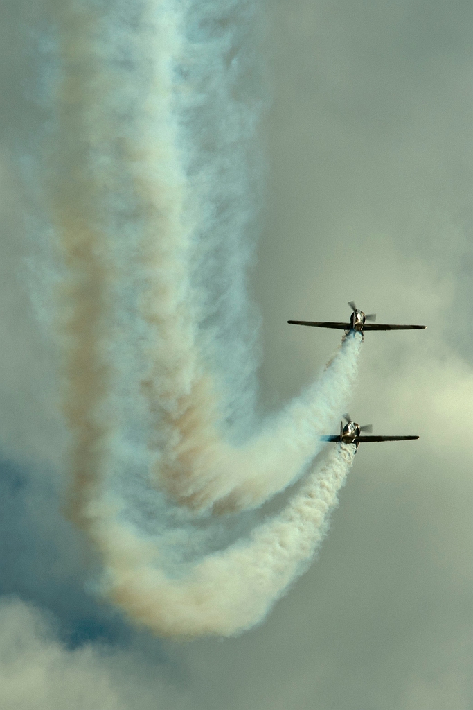 20110918_0297.JPG - Iacarii Acrobati YAK 52TW Roemenie