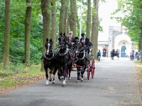 20210926 0088 : Belgie, Hamont-Achel, Evenementen, Koetsentocht Valkenswaard 2021