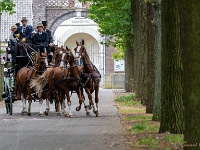 20210926 0140 : Belgie, Hamont-Achel, Evenementen, Koetsentocht Valkenswaard 2021