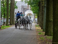 20210926 0174 : Belgie, Hamont-Achel, Evenementen, Koetsentocht Valkenswaard 2021