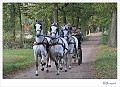 Genieten aan De Waag