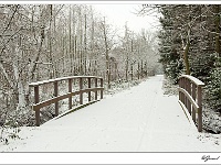 20101130_0011