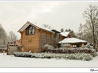 20101130_0026