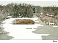 20101130_0033