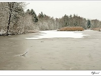 20101130_0035