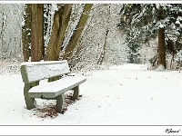20101130_0038