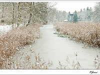 20101130_0062