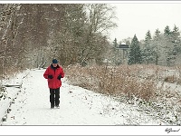 20101130_0068