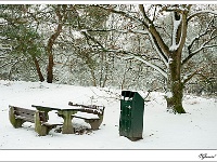 20101202_0066