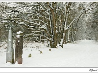 20101202_0069