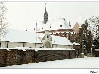 20101202_0083