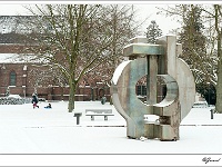 20101202_0106