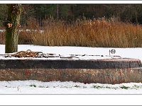 20101209_0073