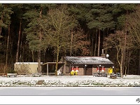 20101209_0078