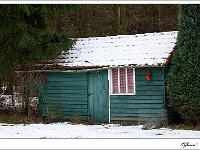 20101209_0083
