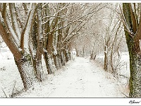 20101217_0047