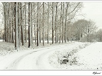 20101217_0049