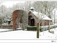 20101217_0058