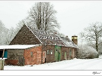 20101217_0059