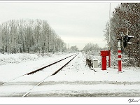 20101217_0064