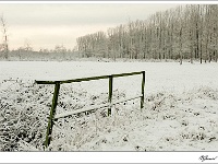 20101217_0068