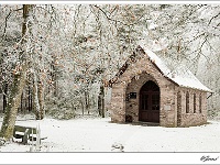 20101217_0072