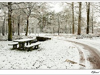 20101217_0079