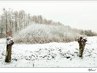 20101217_0084