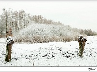 20101217 0084 : Buitenheide, Gerard