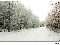 20101217_0091