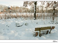 20101225_0067