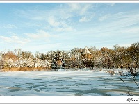 20101225_0069