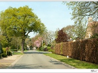 20110415_0049