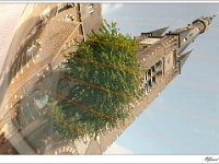 20111017_0023