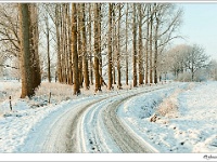20120204_0101_1