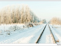 20120204_0117