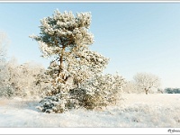 20120204_0146