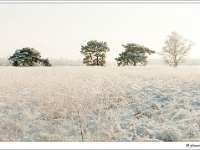 20120204_0149