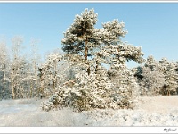 20120204_0151