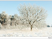 20120204_0152