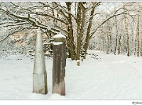 20120204_0159