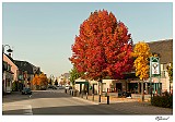 20121022_0010