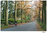20121120_0440
