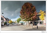 20131017_0005