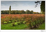 20131019_0031