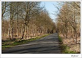 20140202_0005