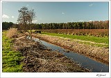 20140202_0009