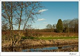 20140202_0010