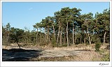 20140202_0012