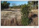20140202_0014